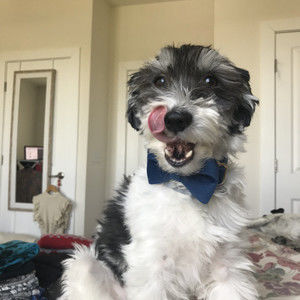 Meet your Posher, Katherine